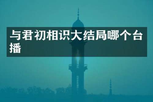 与君初相识大结局哪个台播