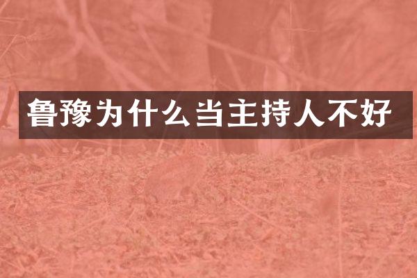 鲁豫为什么当主持人不好