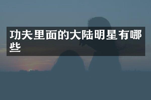 功夫里面的大陆明星有哪些