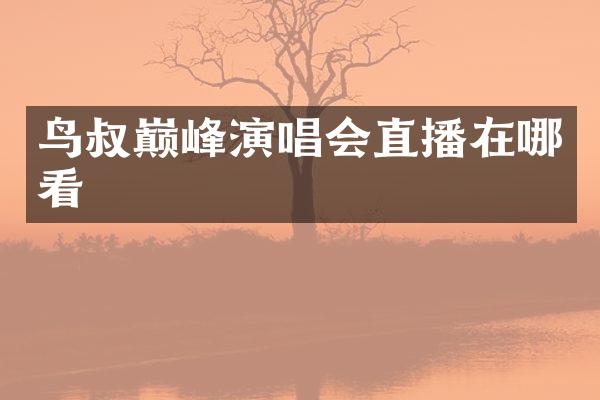 鸟叔巅峰演唱会直播在哪看