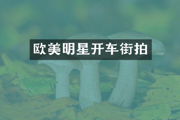 欧美明星开车街拍