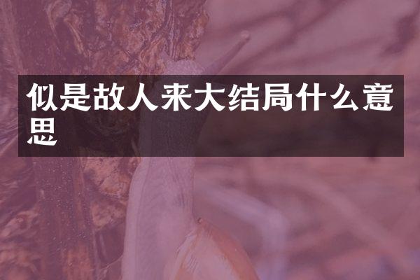 似是故人来大结局什么意思