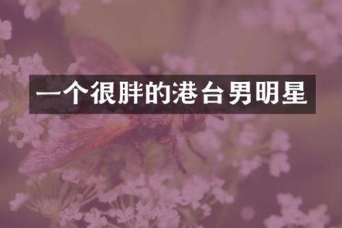 一个很胖的港台男明星