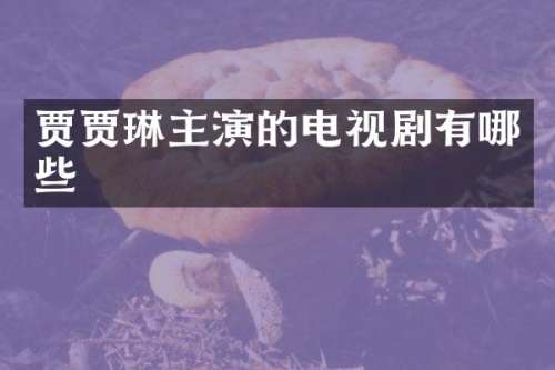 贾贾琳主演的电视剧有哪些