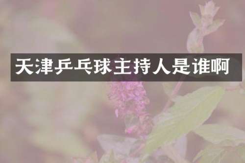 天津乒乓球主持人是谁啊
