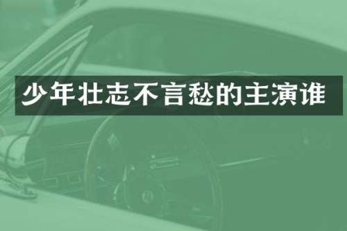 少年壮志不言愁的主演谁