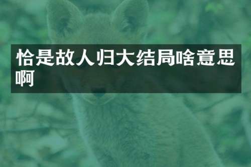 恰是故人归大结局啥意思啊