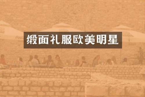 缎面礼服欧美明星