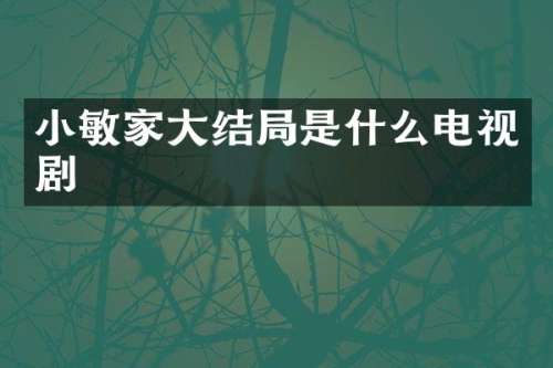 小敏家大结局是什么电视剧