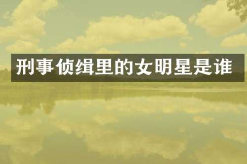 刑事侦缉里的女明星是谁