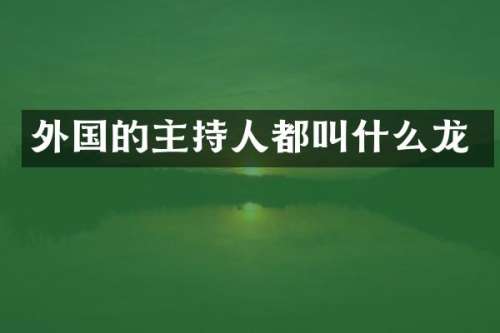外国的主持人都叫什么龙