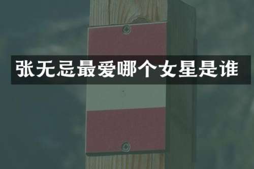 张无忌最爱哪个女星是谁
