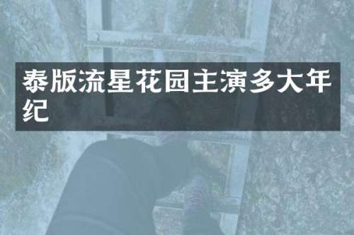 泰版流星花园主演多大年纪