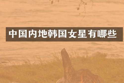 中国内地韩国女星有哪些