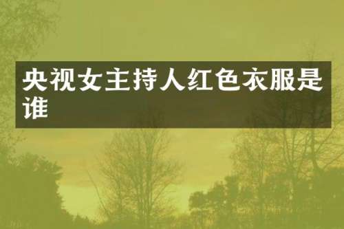 央视女主持人红色衣服是谁
