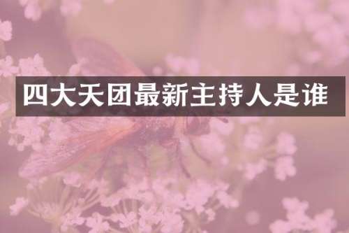 四大天团最新主持人是谁