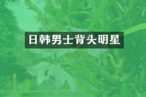 日韩男士背头明星