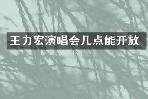 王力宏演唱会几点能开放
