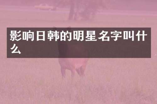 影响日韩的明星名字叫什么
