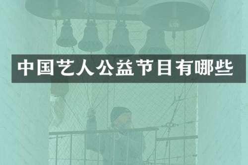 中国艺人公益节目有哪些