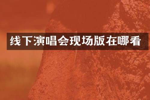 线下演唱会现场版在哪看