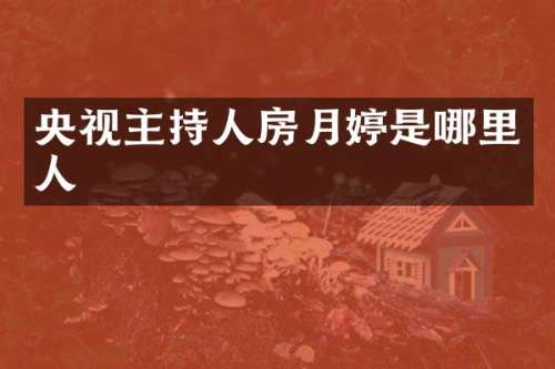 央视主持人房月婷是哪里人