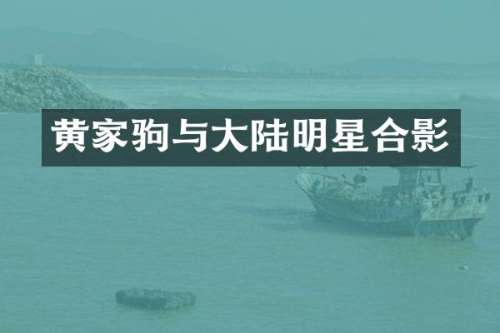 黄家驹与大陆明星合影