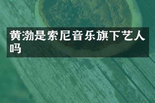 黄渤是音乐旗下艺人吗