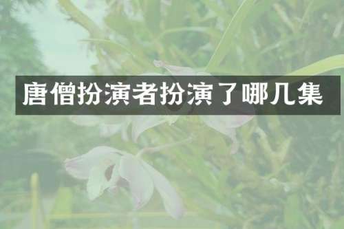 唐僧扮演者扮演了哪几集