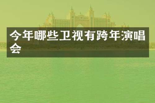 今年哪些卫视有跨年演唱会