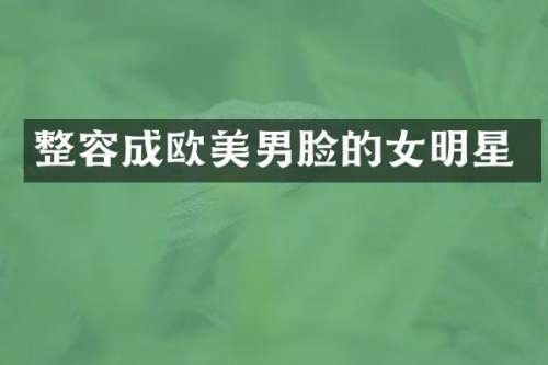 整容成欧美男脸的女明星