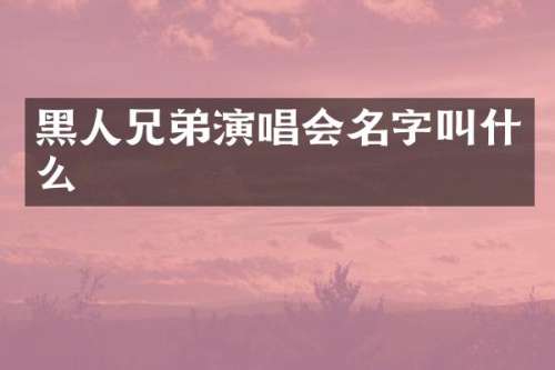 黑人兄弟演唱会名字叫什么