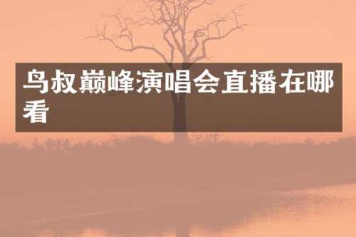 鸟叔巅峰演唱会直播在哪看