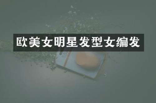 欧明星发型女编发
