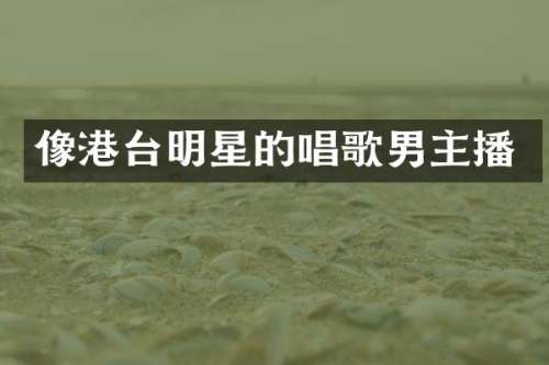 像港台明星的唱歌男主播