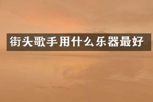 街头歌手用什么乐器最好