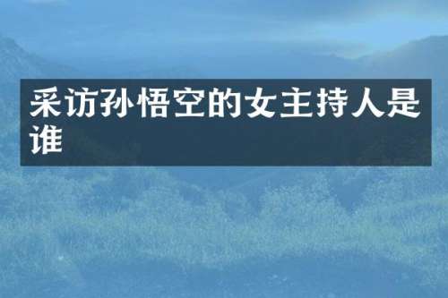 采访孙悟空的女主持人是谁