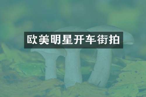 欧美明星开车街拍