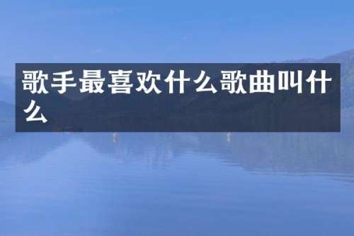 歌手最喜欢什么歌曲叫什么
