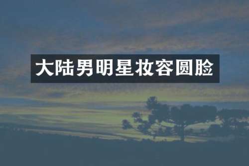 大陆男明星妆容圆脸