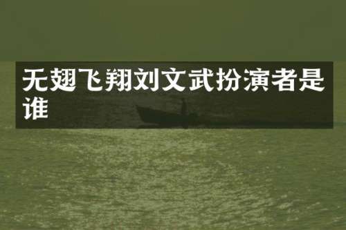无翅飞翔刘文武扮演者是谁