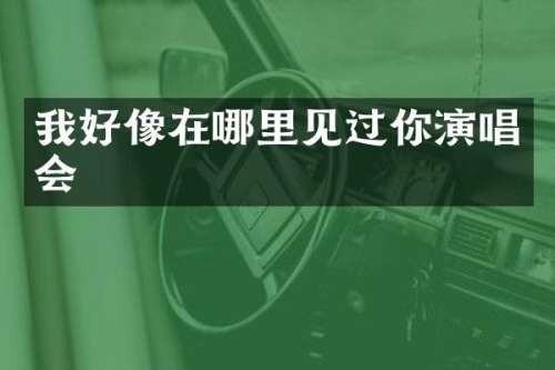 我好像在哪里见过你演唱会