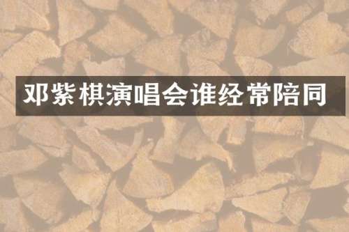 邓紫棋演唱会谁经常陪同