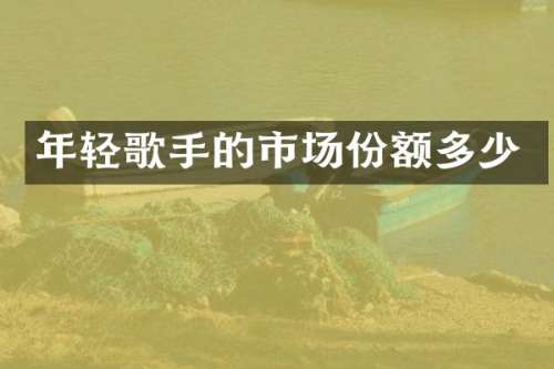年轻歌手的市场份额多少