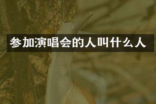 参加演唱会的人叫什么人