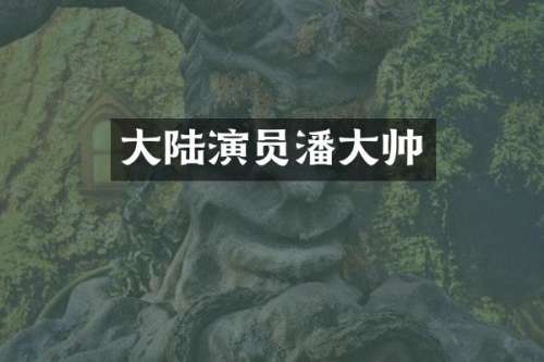 大陆演员潘大帅