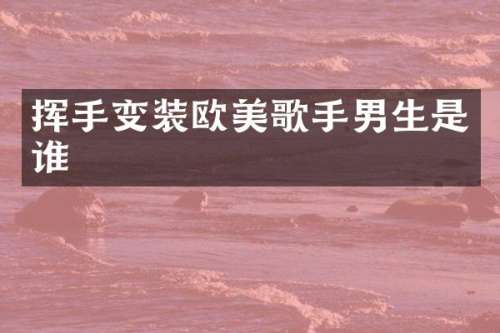 挥手变装欧美歌手男生是谁