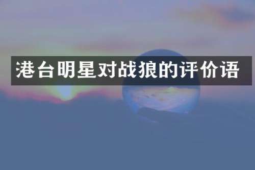 港台明星对战狼的评价语