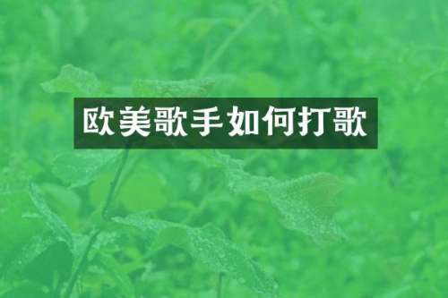 欧美歌手如何打歌