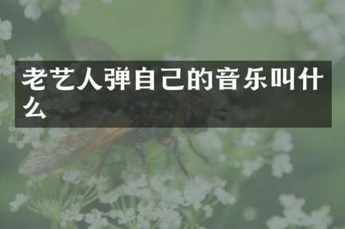 老艺人弹自己的音乐叫什么